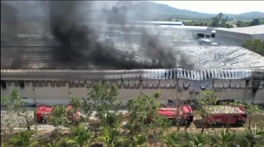 เลขเด็ดเลขดัง แนวทางหวย16/2/66 เลขมาแรงเลขปฏิทินจีน ปฏิทินคำชะโนด 