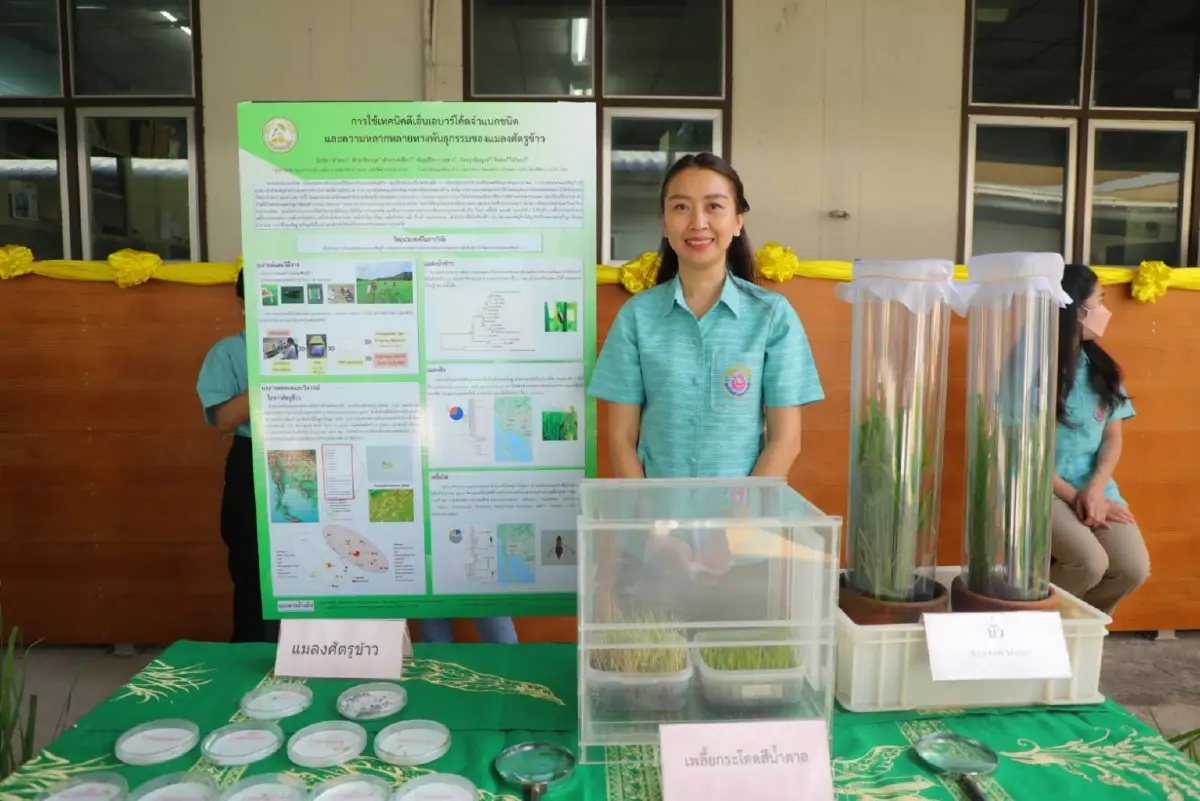 กรมการข้าว เปิดหน่วยตรวจสอบ "DNAข้าวหอมมะลิไทย" สร้างความมั่นใจหนุนส่งออก