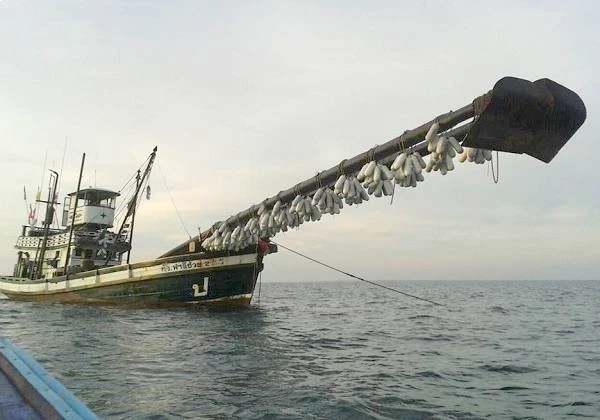 ย้อนรอยความสำเร็จ! ครม.อนุมัติเงินซื้อเรือประมงปัตตานี ทำประการังเทียม