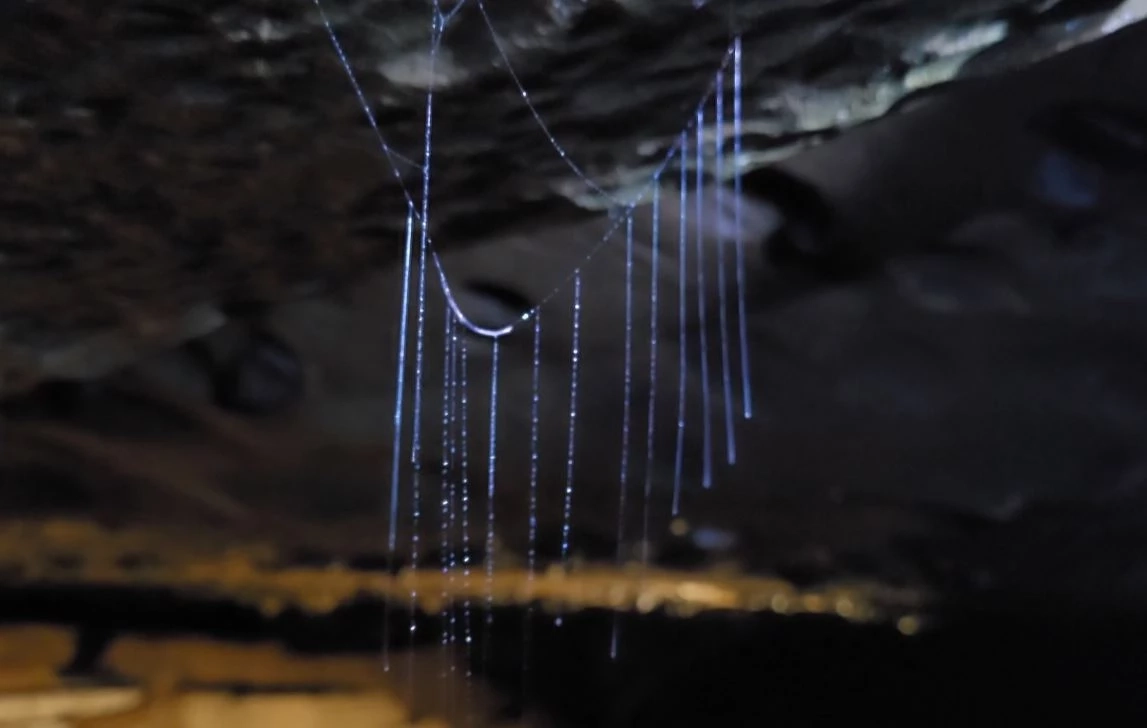 Unseen พิษณุโลก มุดถ้ำเดือน-ถ้ำดาว ตื่นตาหินแพนเค้ก