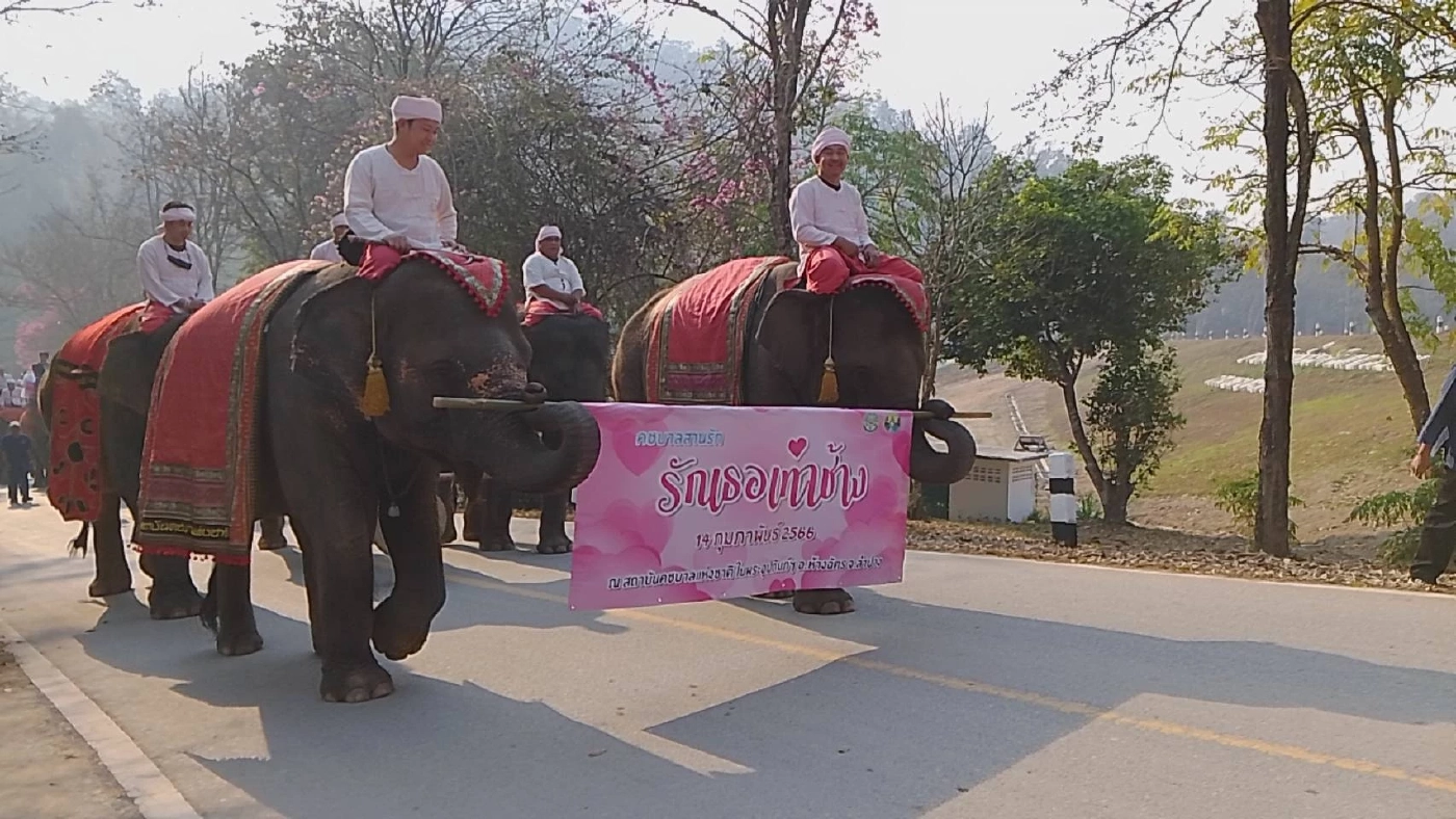 ลำปางจัดกิจกรรมแต่งงานบนหลังช้าง “รักเธอเท่าช้าง คชบาลสานรัก ปี 66”