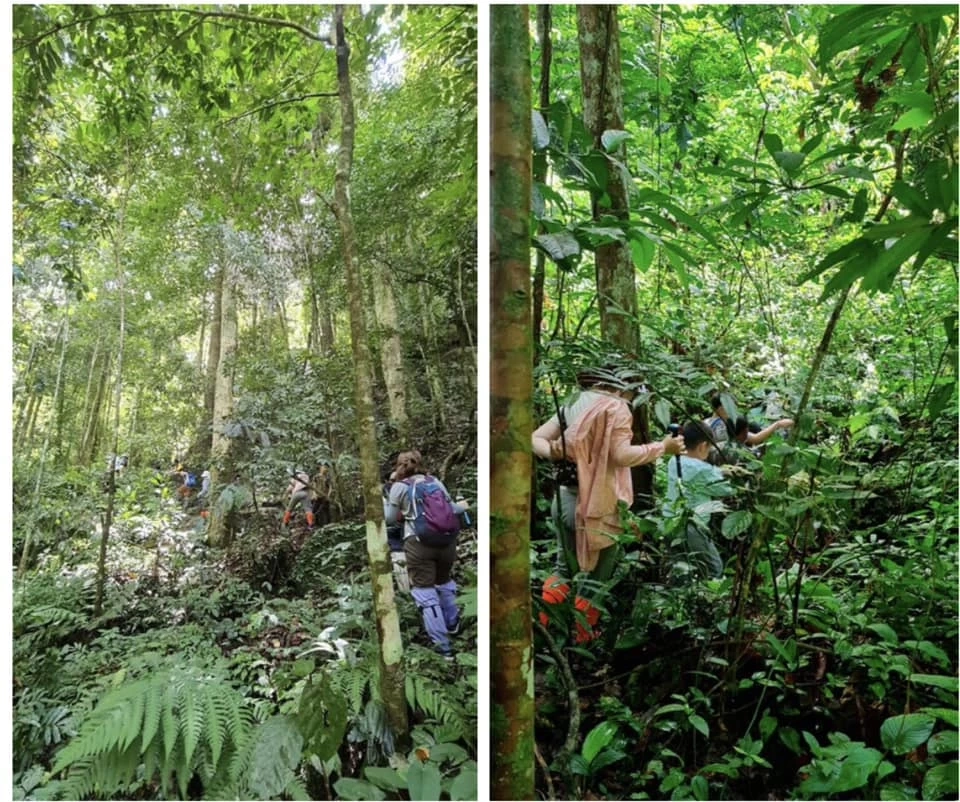 สุดอึ้ง หมอมนูญ เปิดข้อมูลเชิงลึก ประเด็นร้อน ผู้ป่วยปอดติดเชื้อจากต้นไม้ 