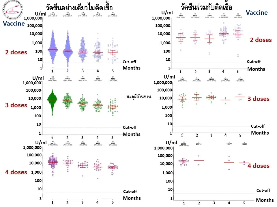 เปิดข้อมูลวิจัย "วัคซีนโควิด" สร้างภูมิคุ้มกันร่างกายยาวนานแค่ไหน?