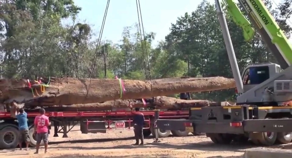 เลขเด็ดเลขดัง แนวทางหวย16/2/66 เลขมาแรงเลขปฏิทินจีน ปฏิทินคำชะโนด 