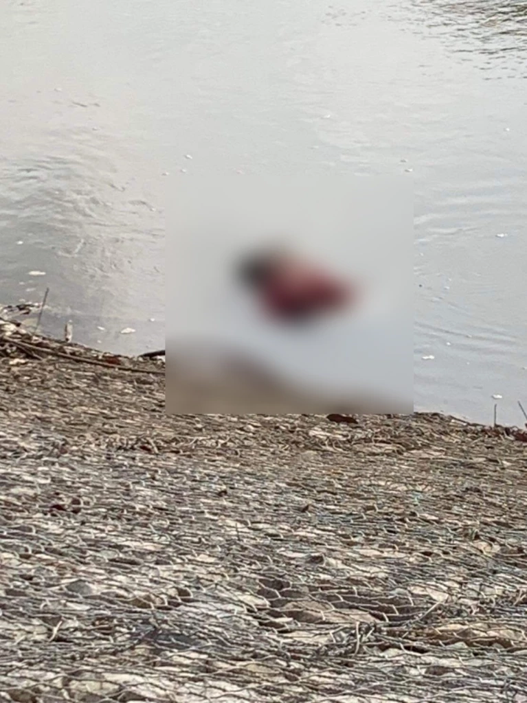 พบอีก 1 ศพ ถูกยิงทิ้งแม่น้ำโก-ลก คาดโยง 3 ศพ ยัดท้ายรถในบึงจือแร