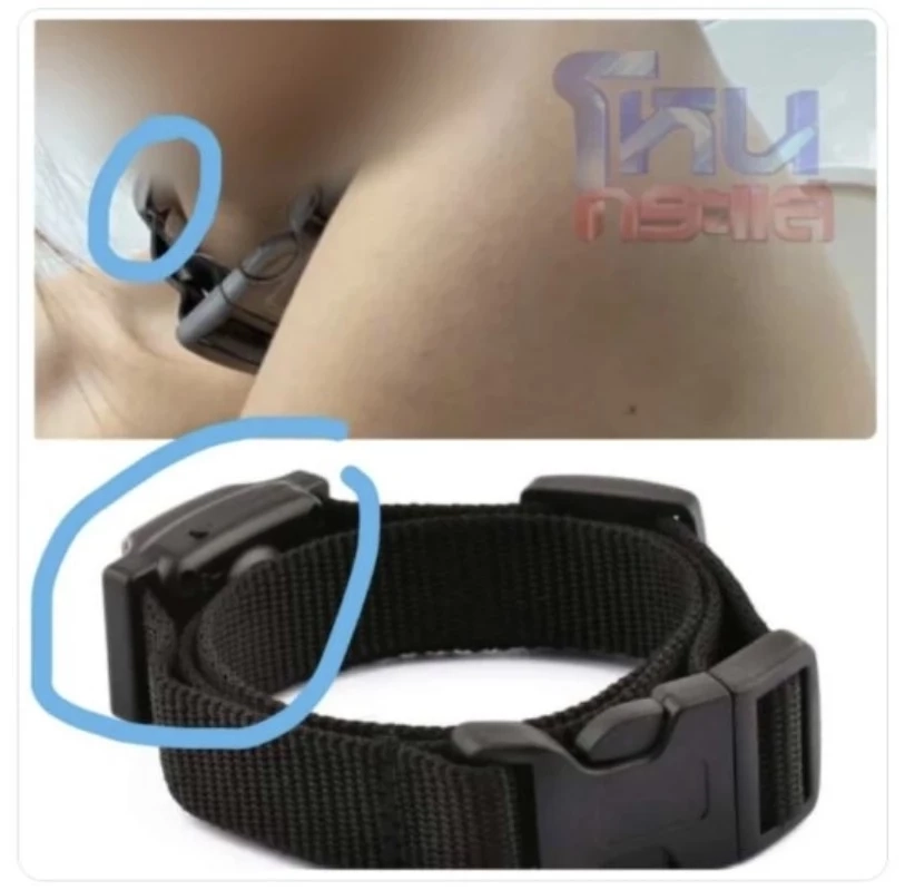 "ดิว อริสรา" ตอบรับให้ปากคำตำรวจไซเบอร์ พร้อมแจงปมโดนจับใส่ปลอกคอฝึกสุนัข