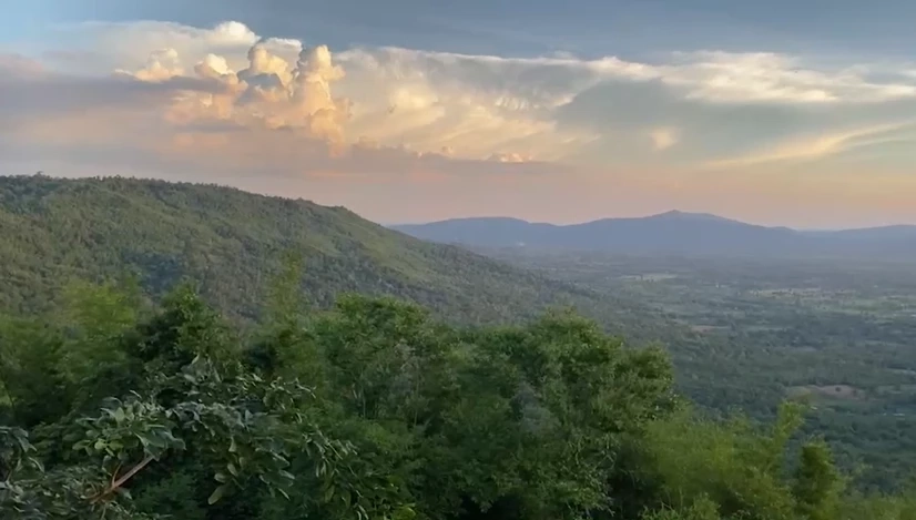 นักวิชาการอัดรัฐบาล ปลดล็อกที่ดินอุทยานทับลาน ซัดเอื้อนายทุน-หาเสียง