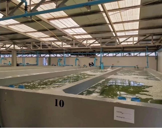 เปิด “เอเลียนสปีชีส์” 13 สายพันธุ์สัตว์น้ำ ห้ามนำเข้าไทย!