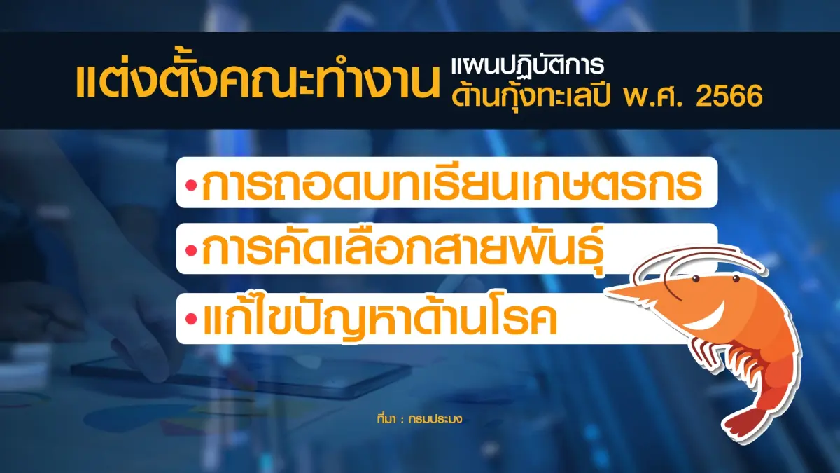 ชริมพ์บอร์ดตั้งทีมฟื้นฟู 'กุ้งทะเล' เป้าหมาย 4 แสนตัน