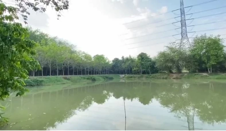 รวบแล้ว! เพื่อนร่วมงานยิงหนุ่มโรงไฟฟ้า ทิ้งบ่อตกปลา สารภาพแค้นที่มายุ่งกับเมีย