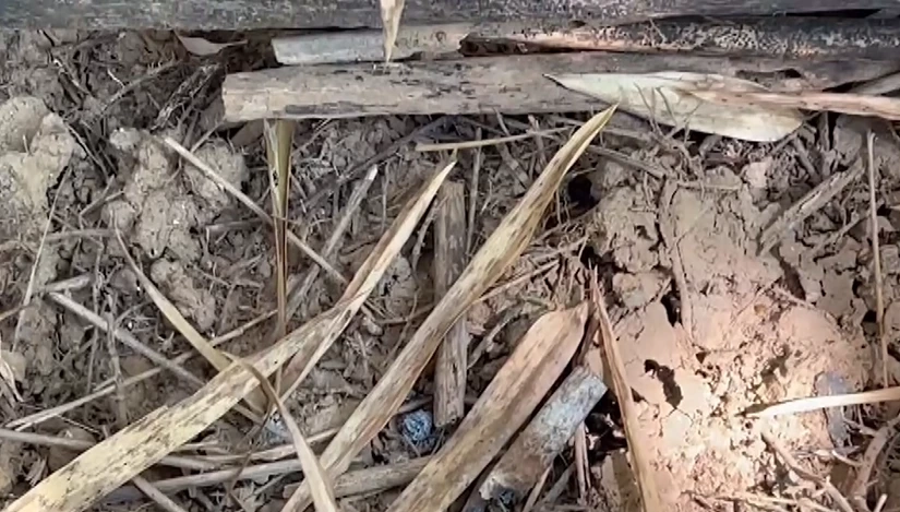 ร่องรอยในจุดที่อ้างว่าเป็นที่เกิดเหตุ