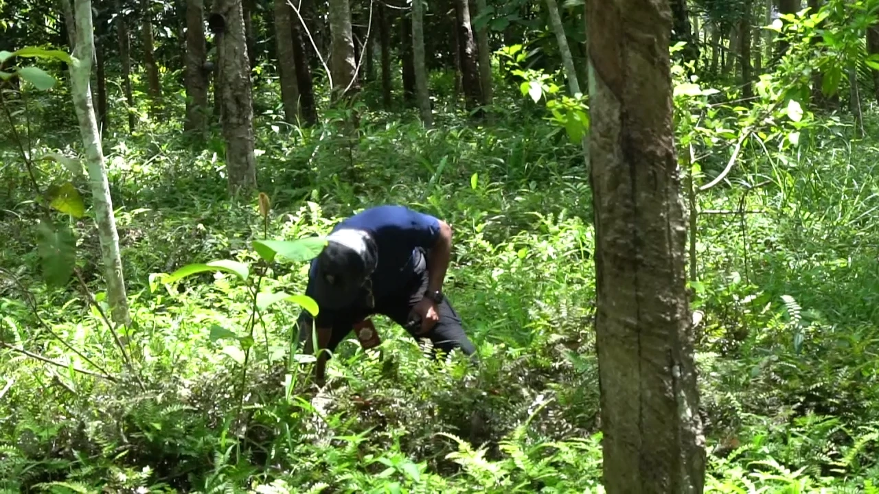 เจ้าหน้าที่เร่งหาหลักฐานเพิ่มเติม