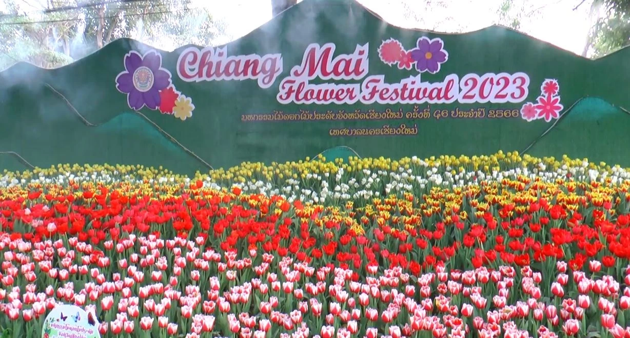 ชวนเที่ยวงานมหกรรมไม้ดอกไม้ประดับเชียงใหม่ 2566 ททท. คาดเงินสะพัดกว่า 900 ล.