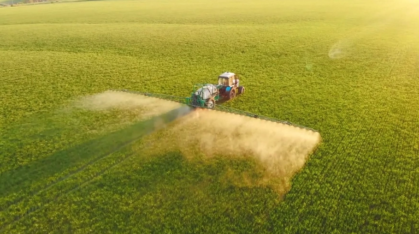 จีนแก้ปัญหาขาดแคลนถั่วเหลืองด้วยการปลูกแซมกับข้าวโพด (คลิป)