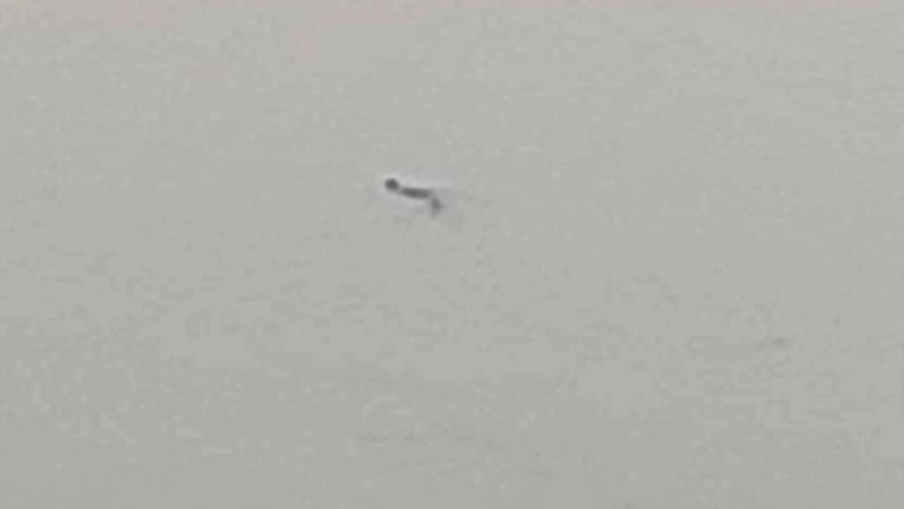 ตร.แจ้งข้อหาเจ้าของจระเข้ ทำหลุดลงแม่น้ำปิง ล่าสุดพบออกนอกพื้นที่แล้ว