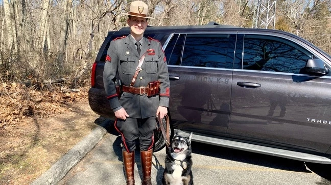 รำลึก 2 สุนัขผู้กล้าหาญ หลังทั่วโลกอาลัย "Proteo" ฮีโร่ 4 ขากู้ภัยตายในภารกิจตุรกี