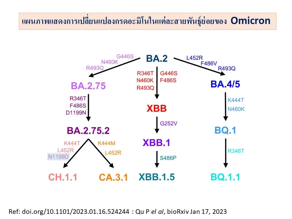 หมอยง เปิด 2 สายพันธุ์"โควิด"ที่ต้องเฝ้าระวัง พร้อมพื้นที่กำลังแพร่ระบาด