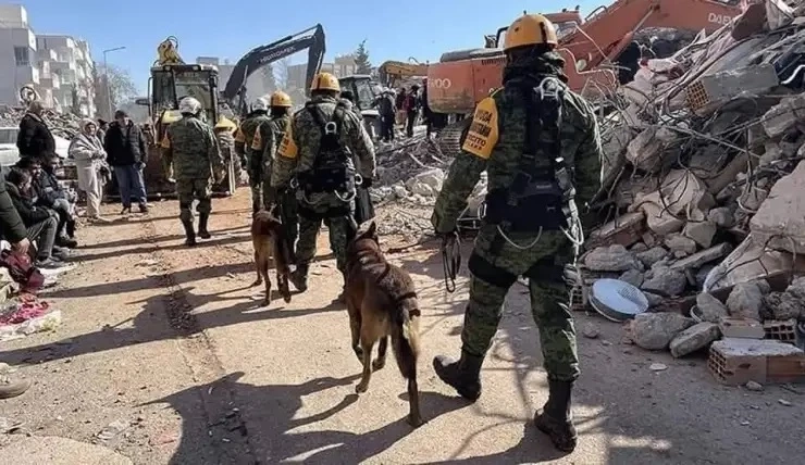 รำลึก 2 สุนัขผู้กล้าหาญ หลังทั่วโลกอาลัย "Proteo" ฮีโร่ 4 ขากู้ภัยตายในภารกิจตุรกี