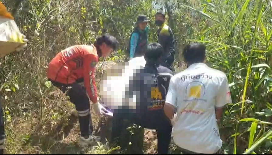 สยอง! สองพ่อลูกหาปลาในป่าภูหลวง ถูกช้างป่าโขลงใหญ่กระทืบดับ