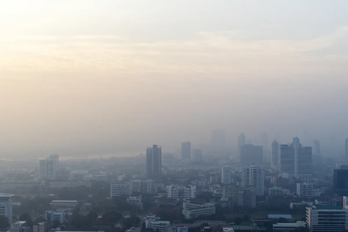 เอาไม่อยู่! ก.อุตฯ ขอ 2 กระทรวง ร่วมแก้ปัญหา ลักลอบเผาอ้อย ทำค่า "PM2.5" พุ่ง
