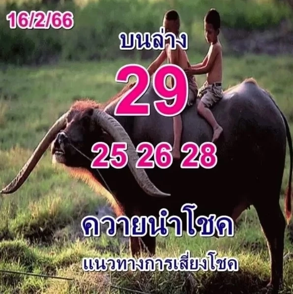 เลขเด็ดเลขดัง แนวทางหวย16/2/66 เลขมาแรงเลขปฏิทินจีน ปฏิทินคำชะโนด 