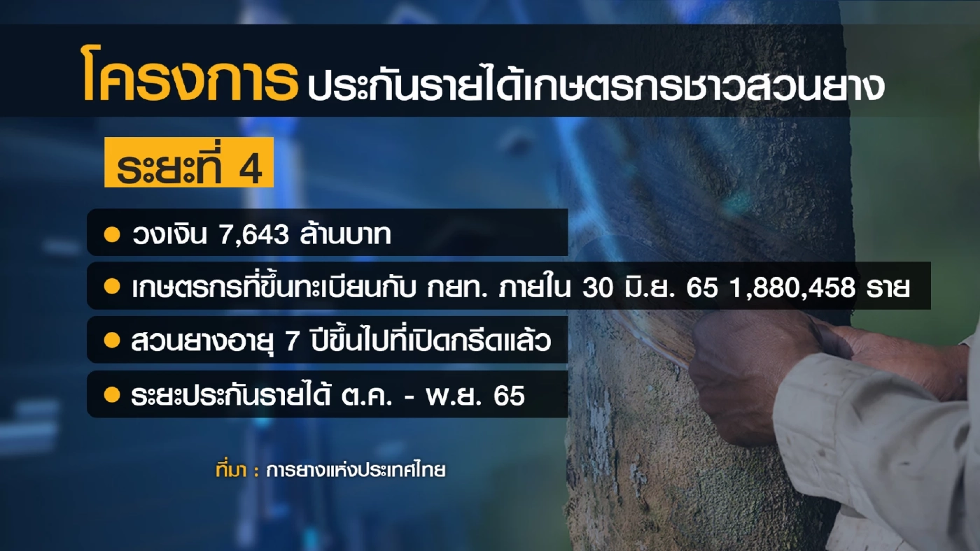 ชาวสวนเฮ ครม.รับทราบ ประกันรายได้ 'ยาง' 7.6 พันล้าน