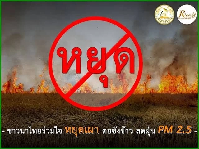 เกษตรฯ ระดมกำลัง แก้วิกฤตฝุ่น "PM 2.5" เล็งทำต้นแบบ เกษตรปลอดการเผา ลดฝุ่นพิษ
