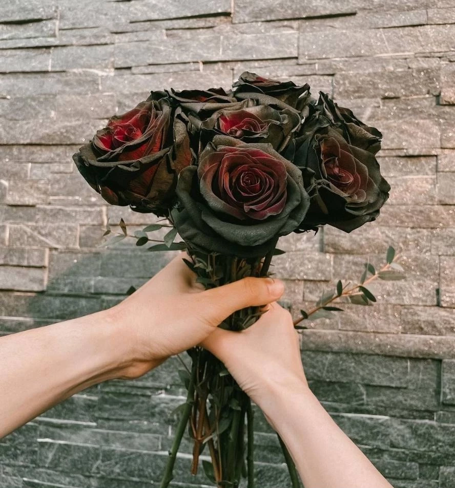 นิว วงศกร โพสต์หวานไม่แคร์สื่อ พร้อมความลับที่ไม่เคยบอกใคร