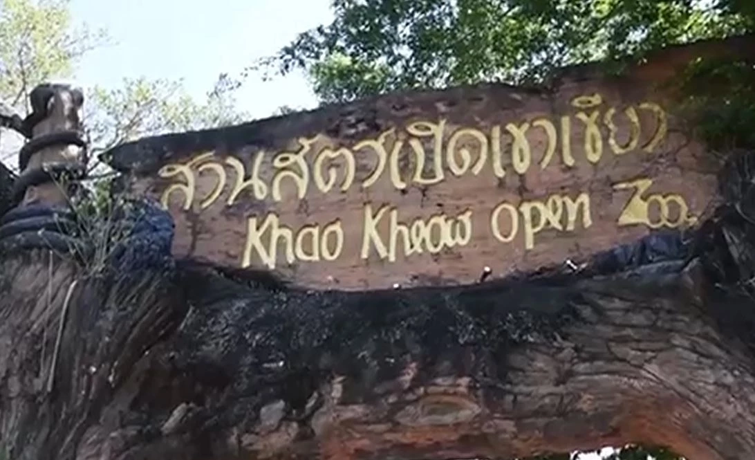 สวนสัตว์เปิดเขาเขียว ชวนเที่ยวแก้ชง ทำบุญอุปถัมภ์สัตว์ป่า เสริมบุญบารมี