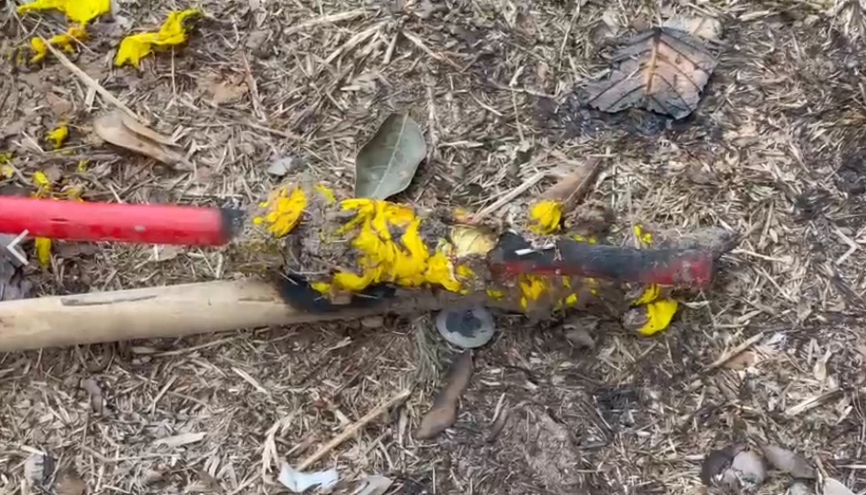 คบเพลิงที่ลุกไหม้เด็กนักเรียน