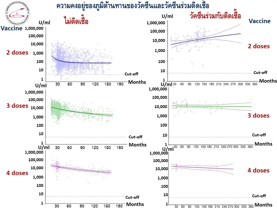 เปิดข้อมูลวิจัย "วัคซีนโควิด" สร้างภูมิคุ้มกันร่างกายยาวนานแค่ไหน?