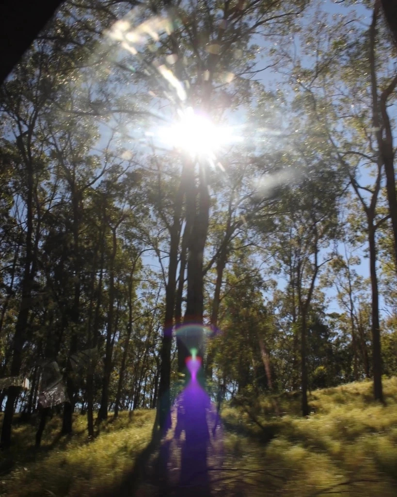 ฮือฮากันทีเดียว "วัน อยู่บำรุง" ส่งโพสต์สุดปัง หลังเห็นภาพมนุษย์ต่างดาวของ"หมอปลาย" 