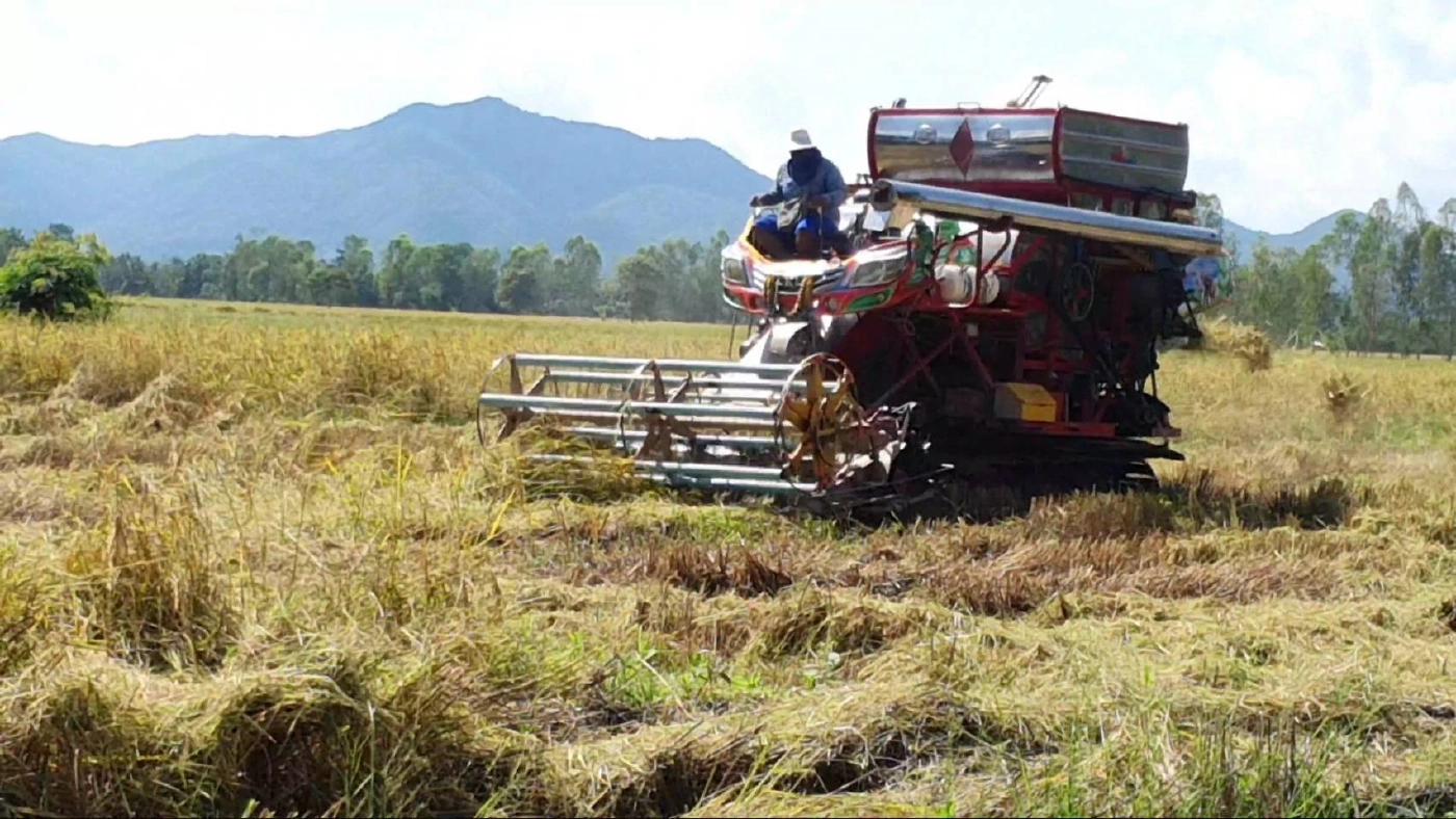 กำหนดอาชีพสงวนสำหรับคนไทย ห้ามชาวต่างชาติทำ มีอะไรบ้างเช็กที่นี่