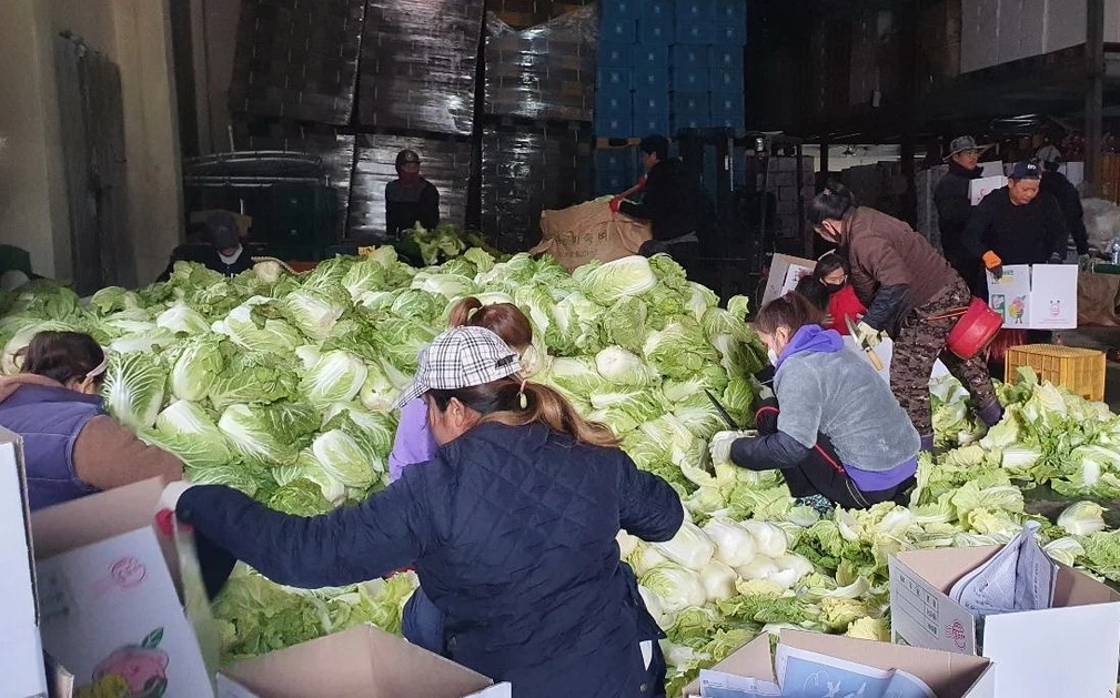 ข่าวดี! กรมการจัดหางาน สำรวจความต้องการแรงงานไปทำงาน "เกาหลีใต้"