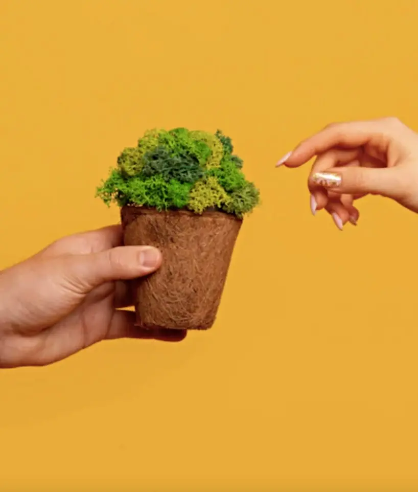 Healthy-Safety-Save the Earth แนวโน้มเทรนด์อาหารแห่งปี