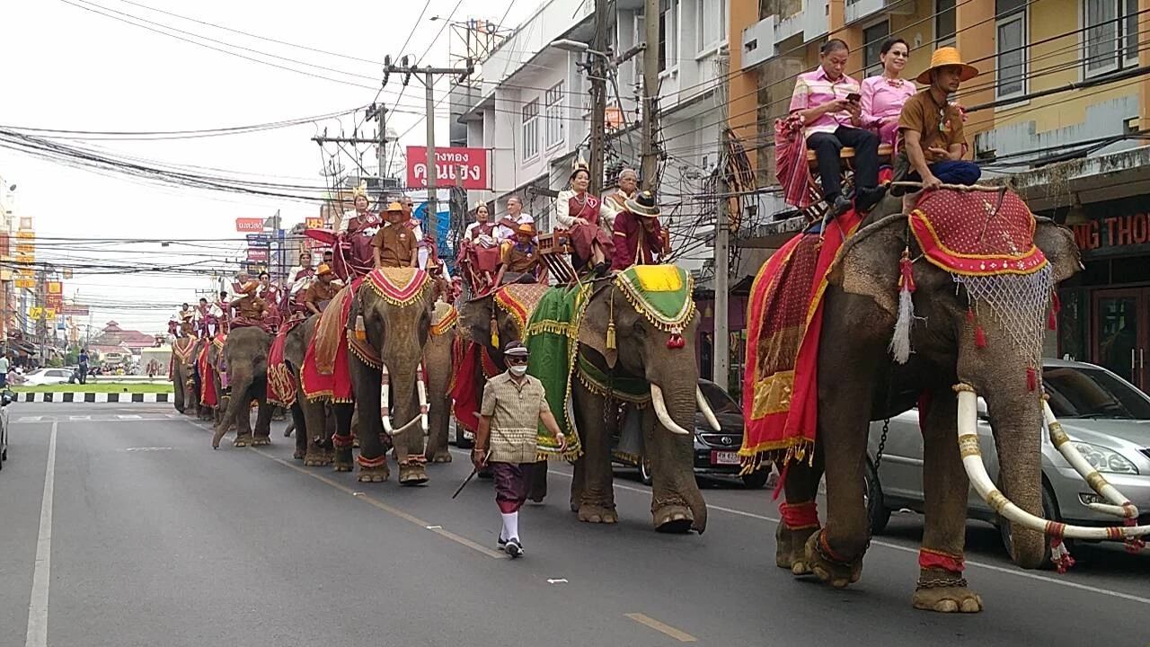 ที่เดียวในโลก สุรินทร์จัดวิวาห์วันวาเลนไทน์ 30 คู่รักจดทะเบียนบนหลังช้าง