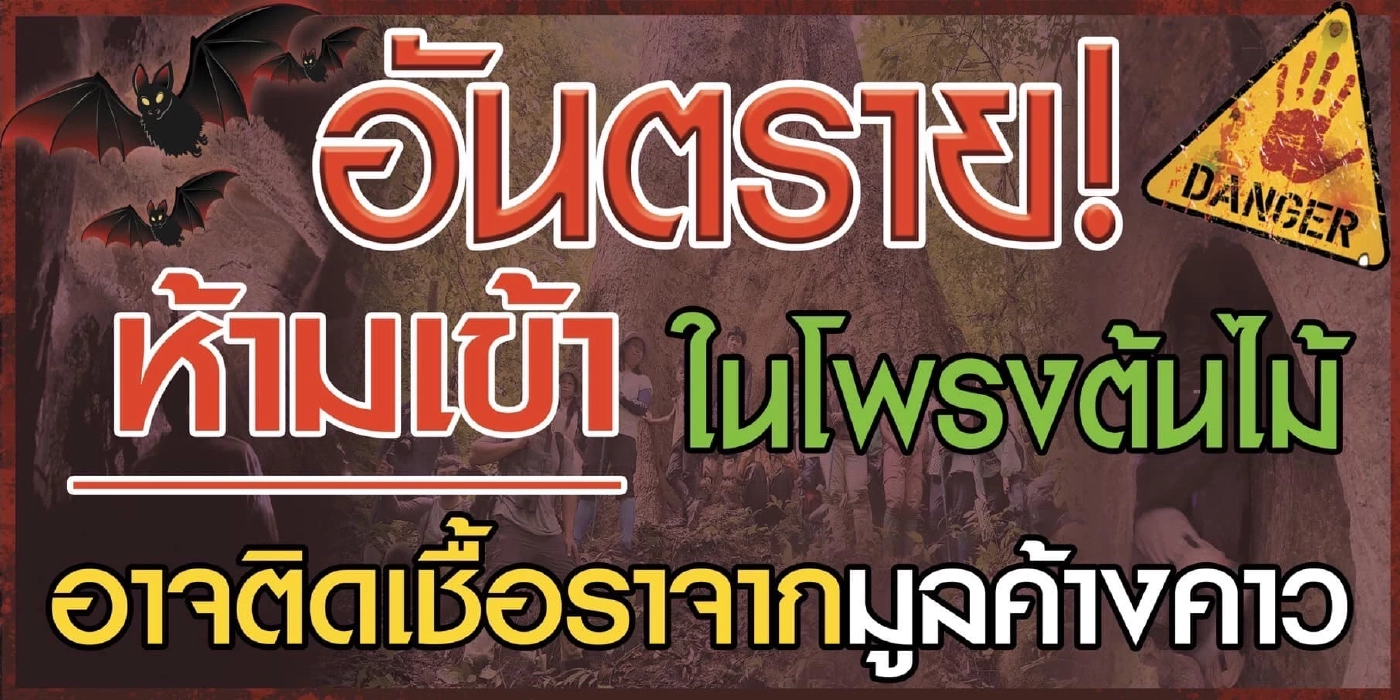 "หมอมนูญ" เปิดข้อมูล "เชื้อราฮิสโตพลาสมา" มีจริง คาดมาจากมูลค้างคาว
