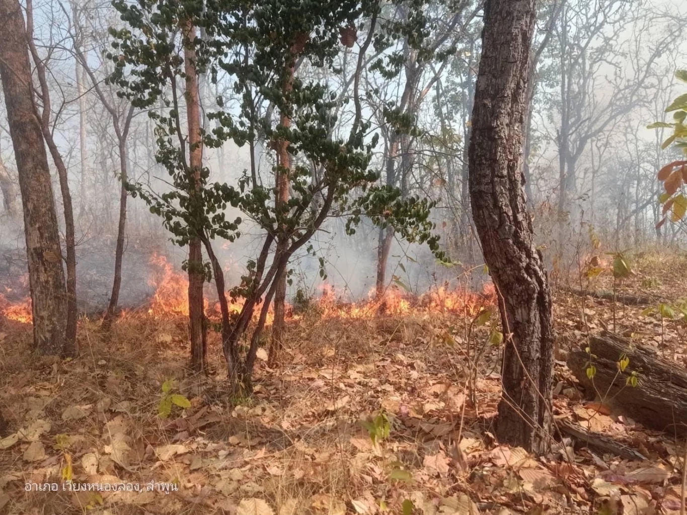 สาเหตุหนึ่ง ที่ทำให้เกิดฝุ่นพิษ