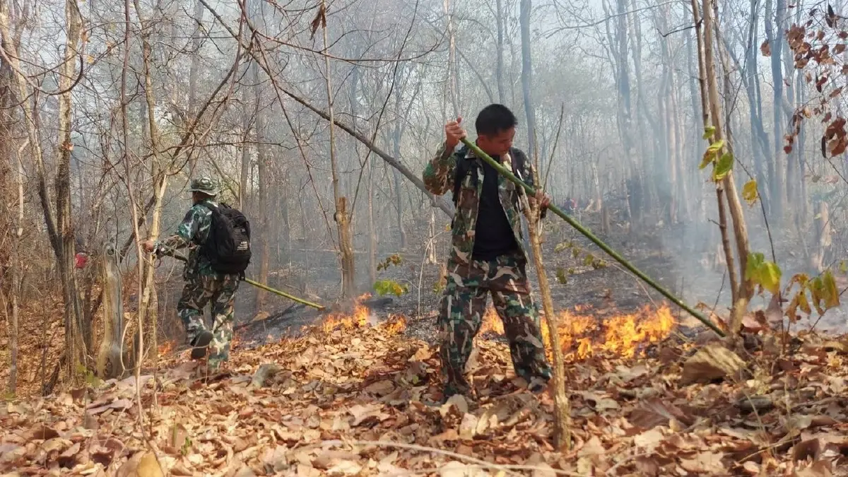จับ-ปรับจริง!! รักษาการอธิบดีกรมอุทยานฯ เตือนลักลอบเผาป่าเขตอุทยานฯ โทษสูงสุดปรับ 2 ล้านบาท จำคุก 20 ปี พร้อมขอประชาชนใกล้เขตพื้นที่ป่า หากต้องจุดไฟขอให้แจ้งกำนัน – ผู้ใหญ่บ้านก่อน