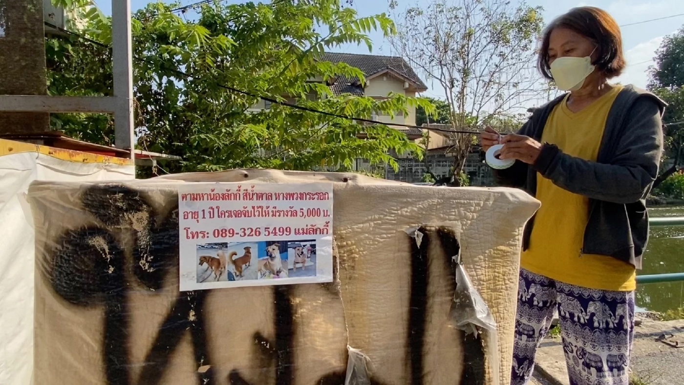 ป้าไม่ท้อตามหา“ลักกี้”สุนัขคู่ใจ มั่นใจยังมีชีวิตอยู่