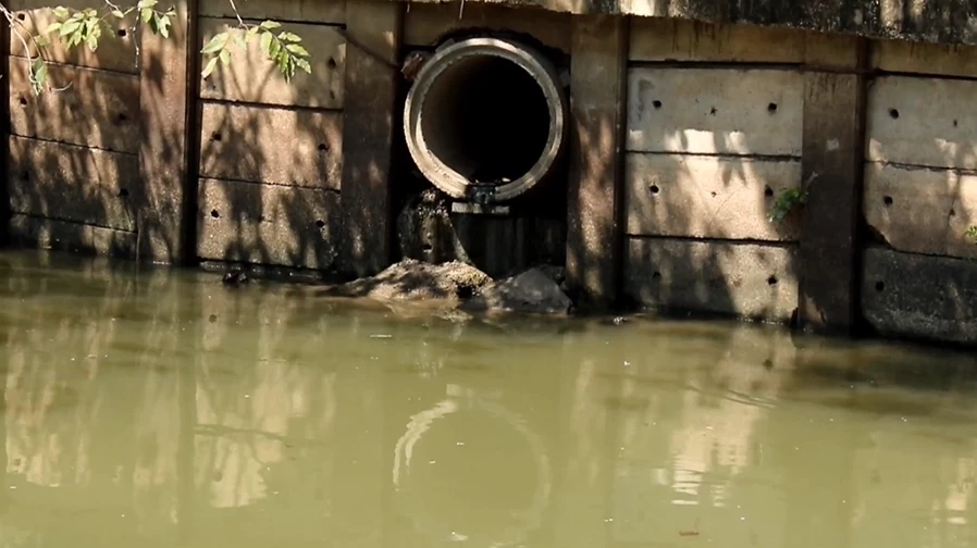 ผงะ! สำรวจลำตะคองเส้นทางไหลผ่านเมืองโคราช พบปล่อยน้ำเสีย บุกรุกเพียบ