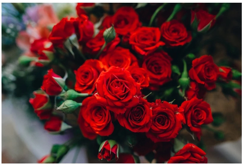 ย้อนอ่านอีกครั้ง ประวัติวันวาเลนไทน์ 14 กุมภาพันธ์  VALENTINE'S DAY