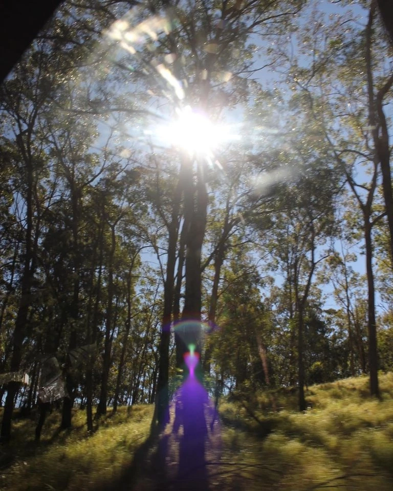 ภาพที่ &quot;หมอปลาย&quot; อ้างถ่ายติดมนุษย์ต่างดาว