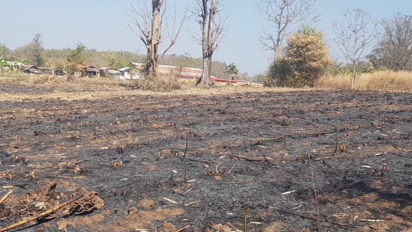 ดำเนินคดีจริง! จ.ตาก จับ 2 ชาวบ้านแม่สอดเผาอ้อย ฝ่าฝืนการแก้ปัญหา PM2.5