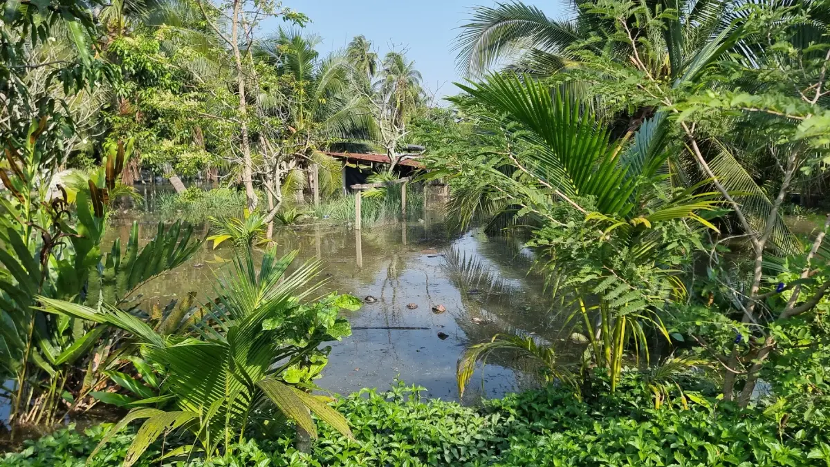 "ชาวบ้านแพ้ว" อ่วม น้ำทะเลหนุนหนัก ทำน้ำคลองทะลักท่วมสวน-บ้านเรือนพังยับ