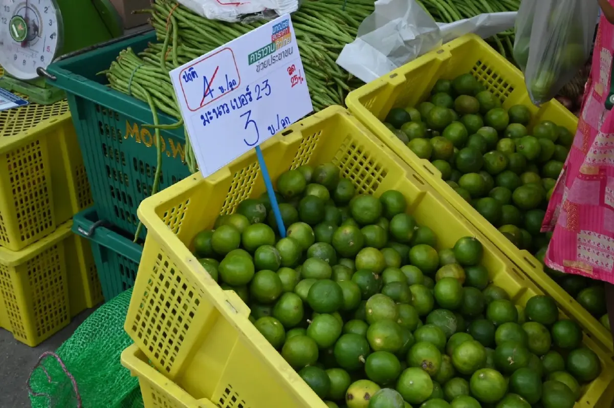 “พาณิชย์ - ส.ตลาดกลางฯ" จัดโมบาย เร่งจำหน่าย "มะนาว"ราคาส่ง