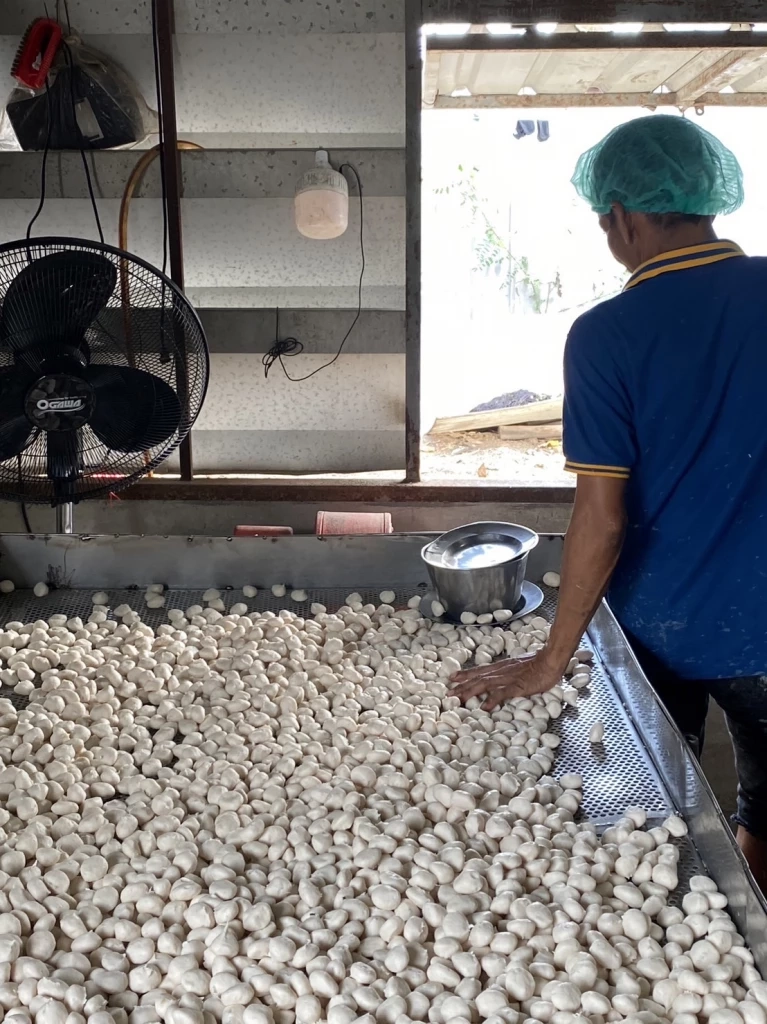 ปคบ. บุกทลายโรงงานลูกชิ้นเถื่อน ผสมสารบอแรกซ์ ส่งขายทั่วกรุง