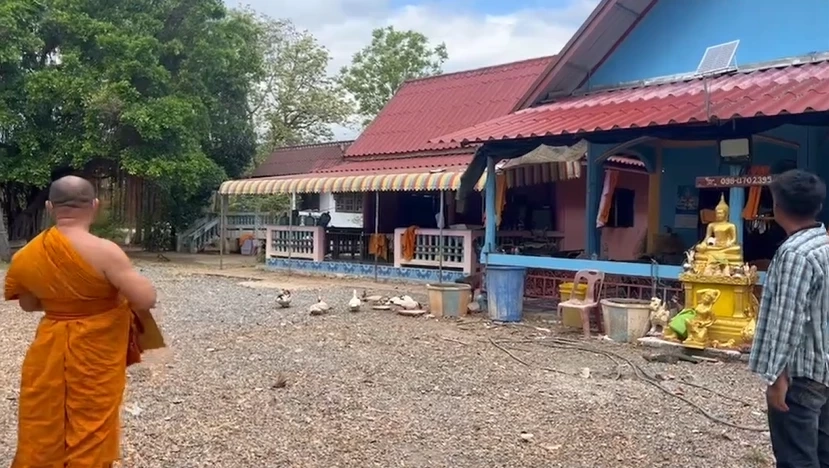 เจ้าคณะอำเภอสั่งฟันเด็ดขาด พระฉันบวบฝรั่ง ขอพระฉาวสึกพ้นจากพุทธศาสนา