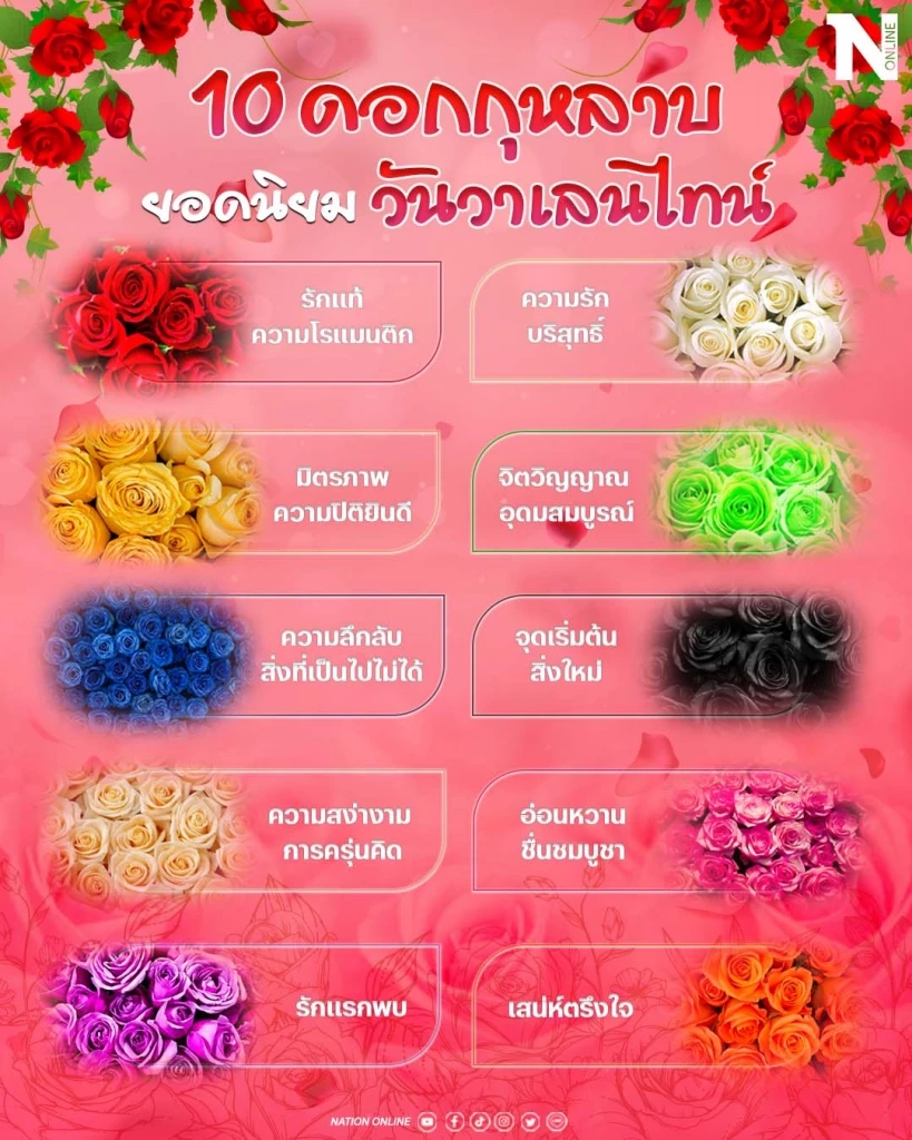  10 ความหมาย"ดอกกุหลาบ"สุดฟินรับ “วันวาเลนไทน์”