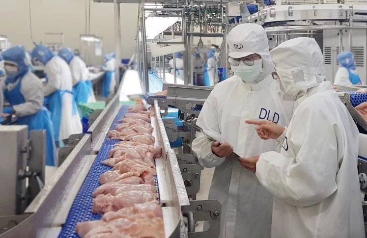 ไทยแชมป์! ส่งออกไก่ ในเอเชีย ปี65 ขายผ่าน FTA กว่า 2.8 พันล้านดอลลาร์สหรัฐ